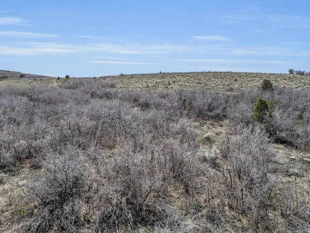View of undeveloped land featuring rural landscape