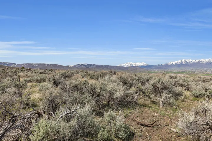 View of mountain background