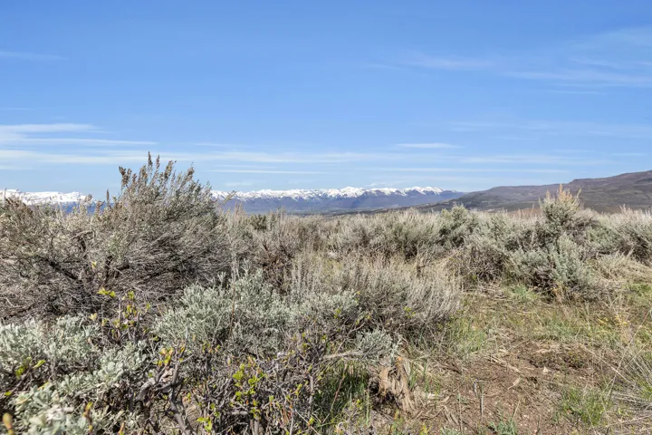 View of mountain background