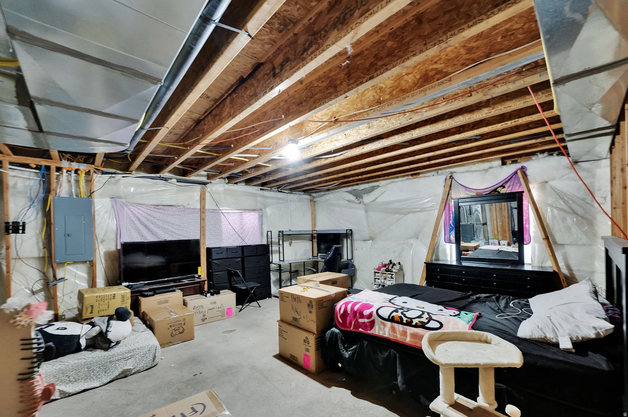 Unfinished below grade area with electric panel