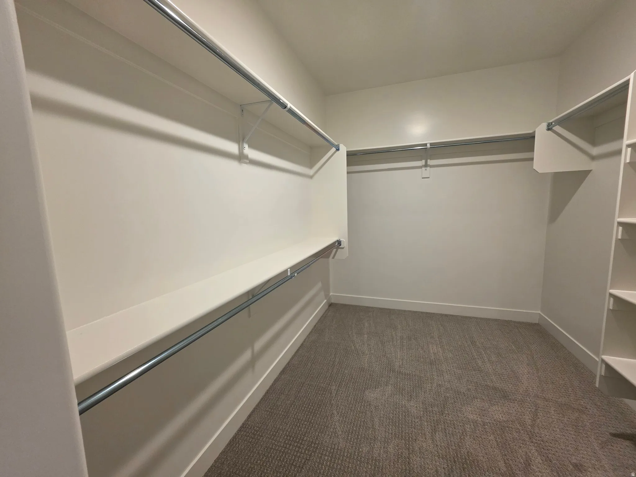 Spacious walk-in closet featuring built-in shelving, multiple hanging rods, and neutral-toned carpet flooring