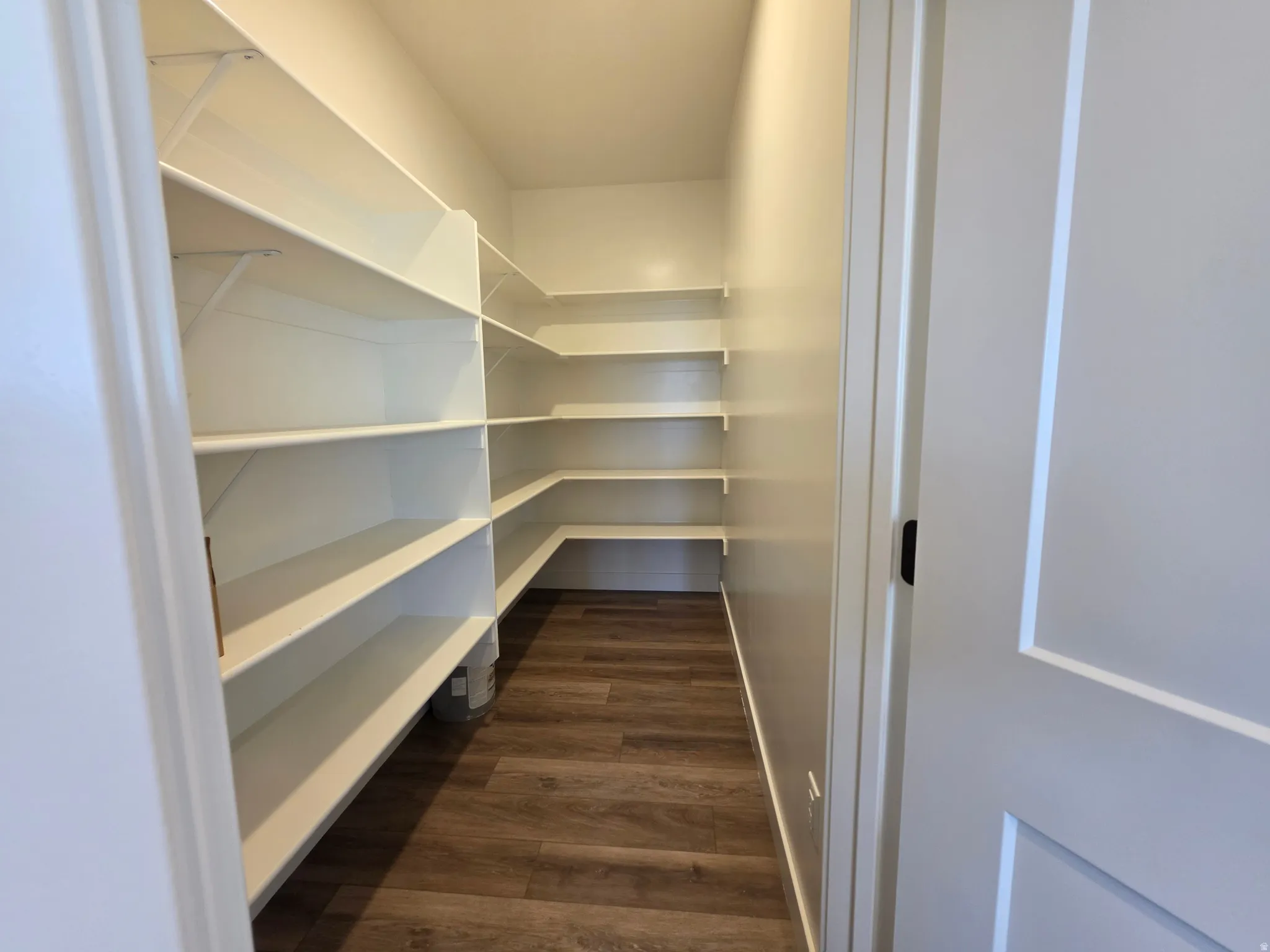 Corner pantry featuring extensive white shelving, wood-finish flooring, and a modern interior door with black hardware