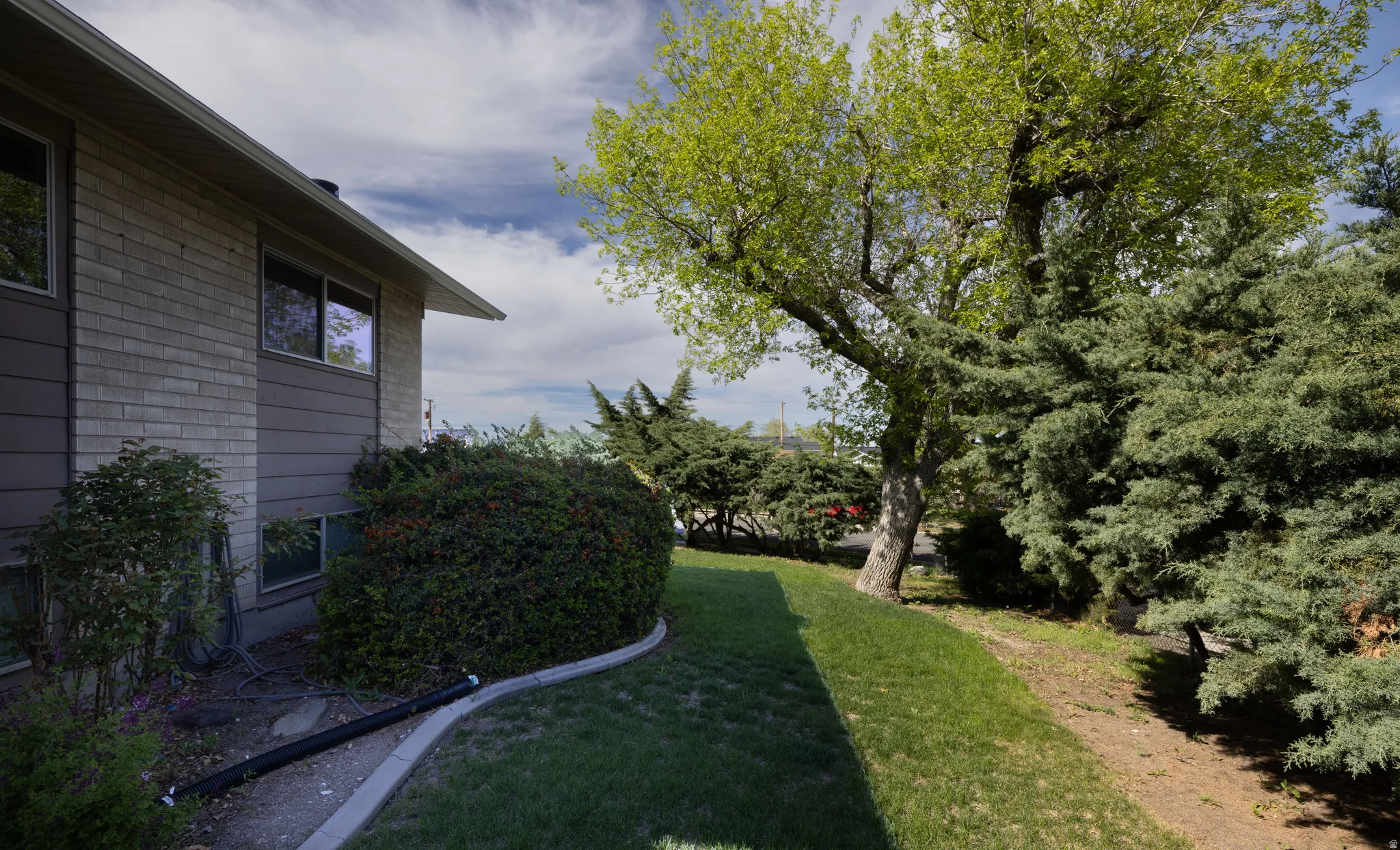 View of grassy yard front of home
