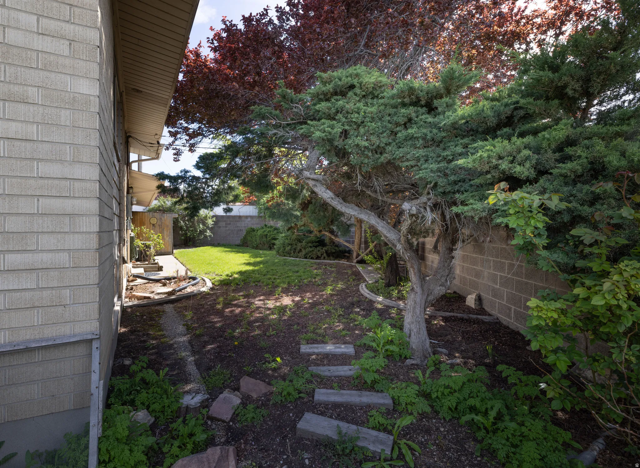 View of fenced backyard