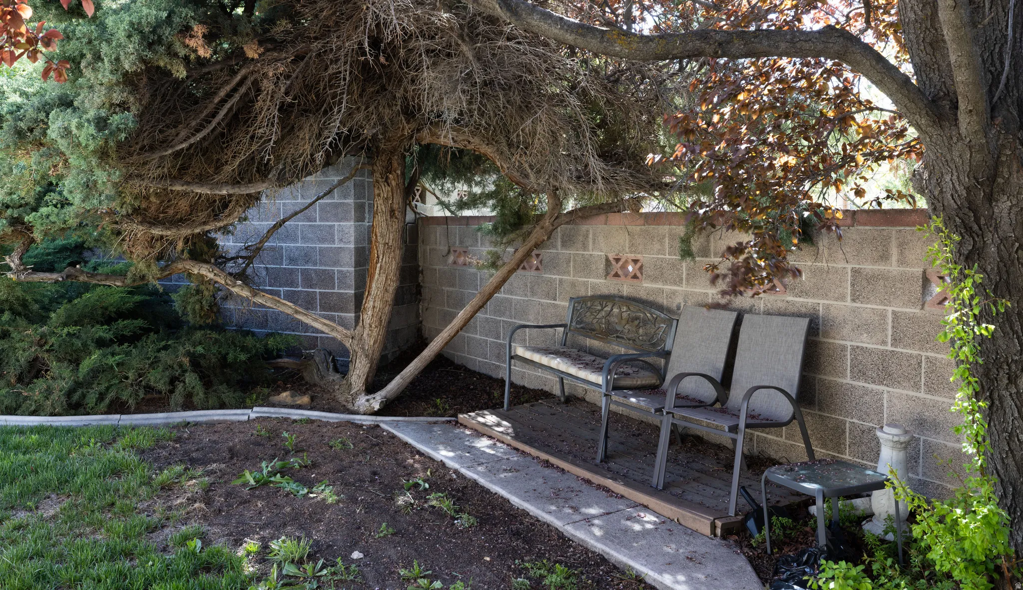 View of fenced backyard
