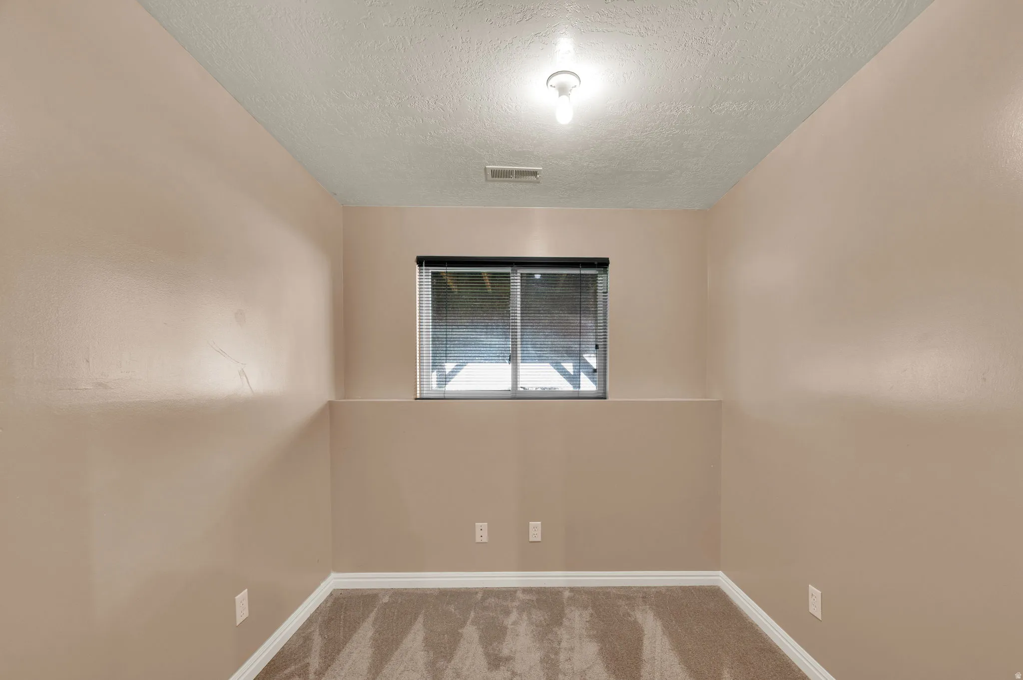 Basement Storage area