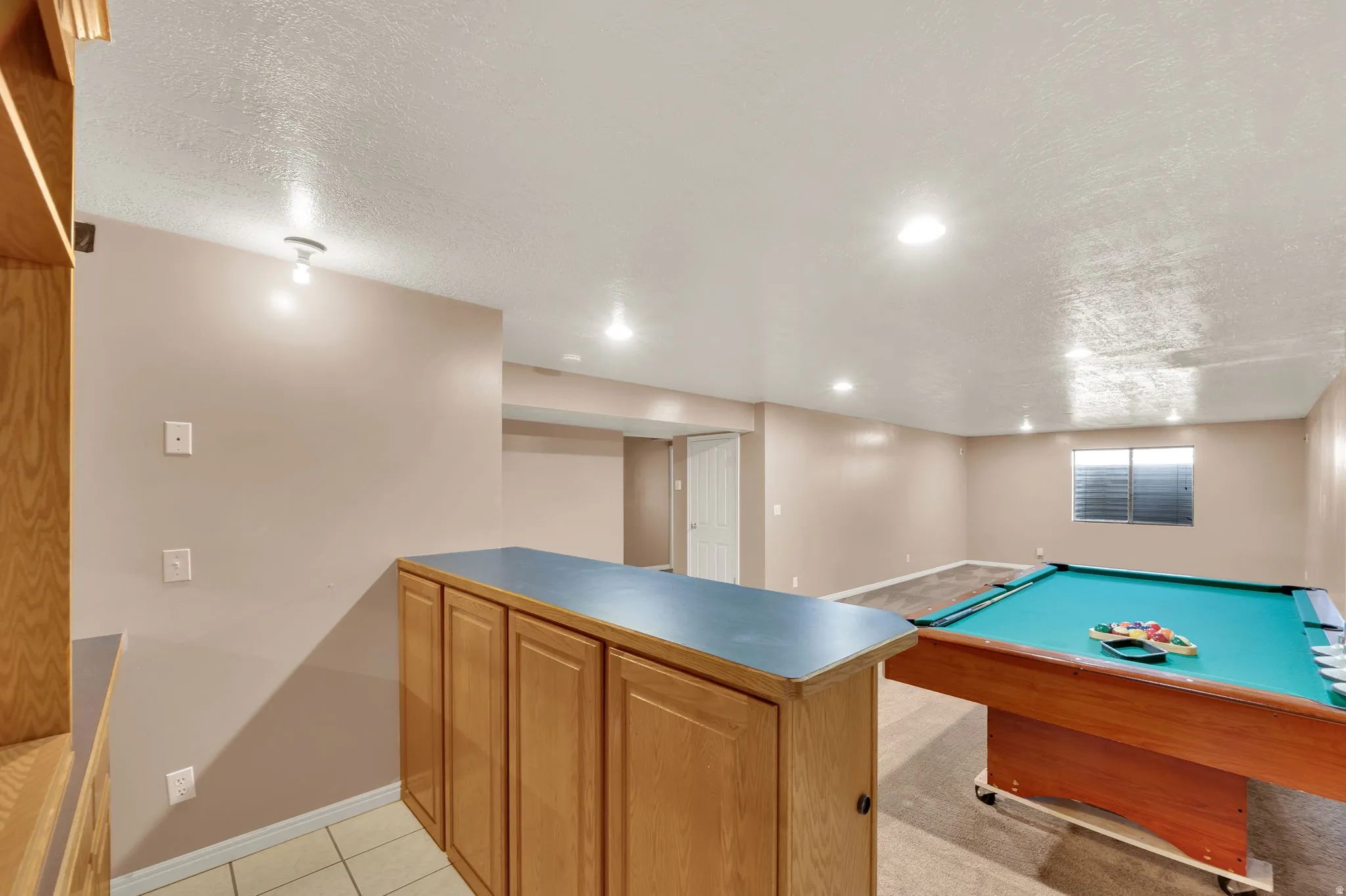 Basement Living Room