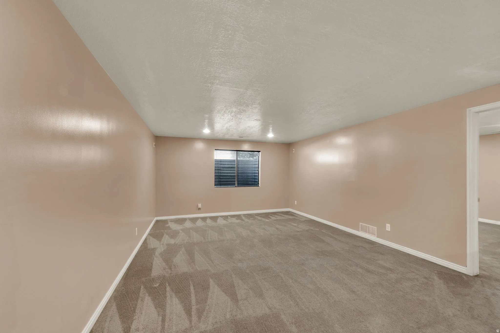 Basement Living Room