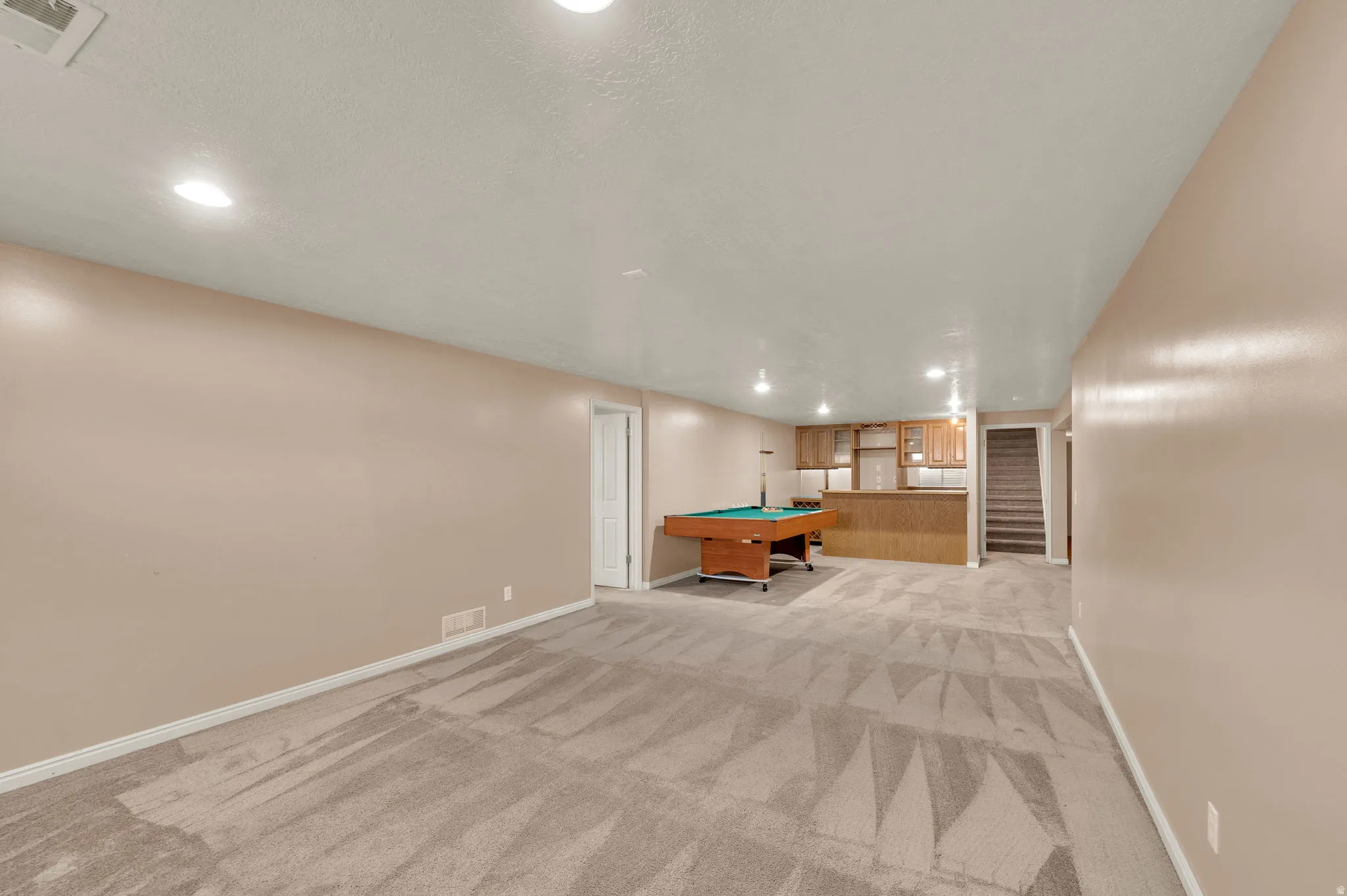 Basement Living Room