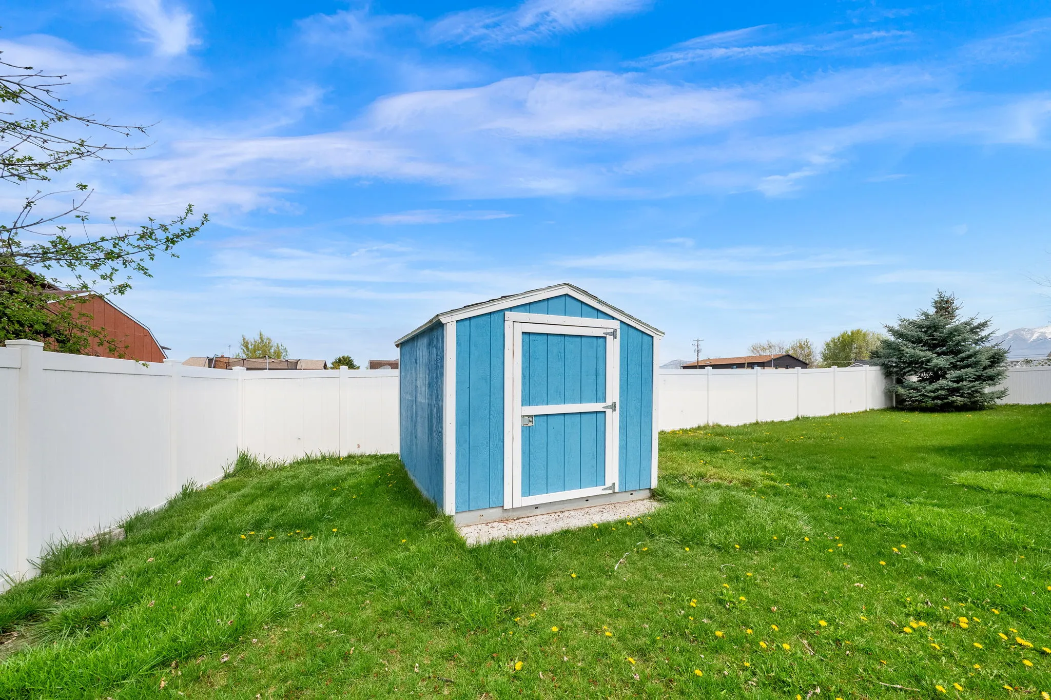 Backyard Shed