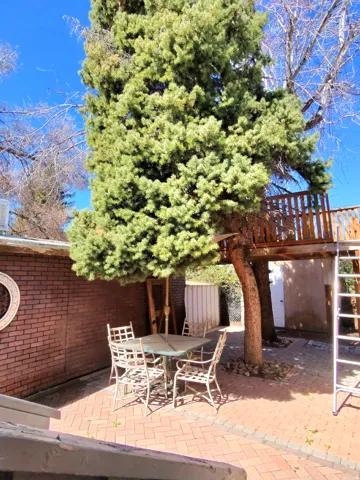 View of patio featuring outdoor dining area and stairway up to tree house
