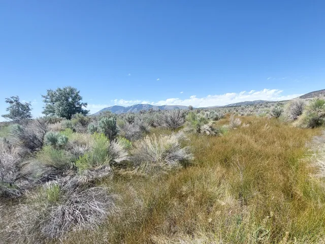 View of mountain background