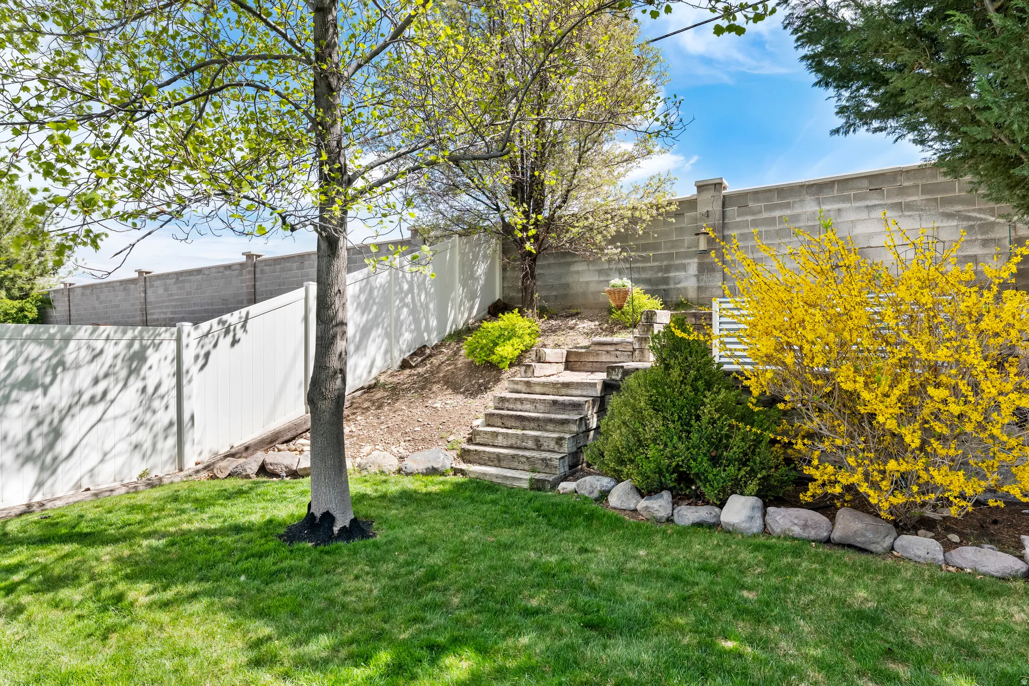 Fenced backyard with stairs to garden bed with  a drip line that is tied to the automatic sprinklers.