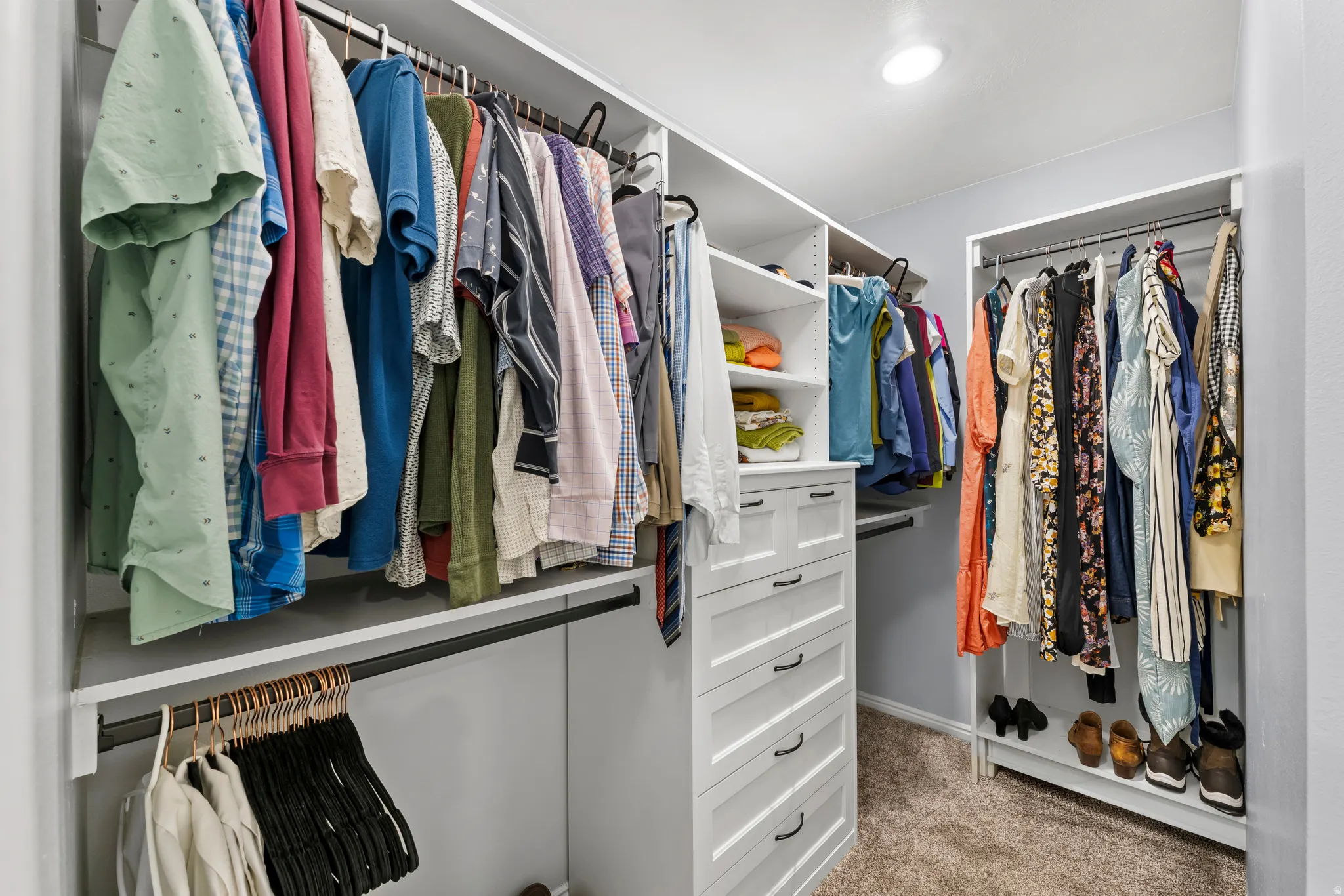 Primary walk-in closet w/ carpet
