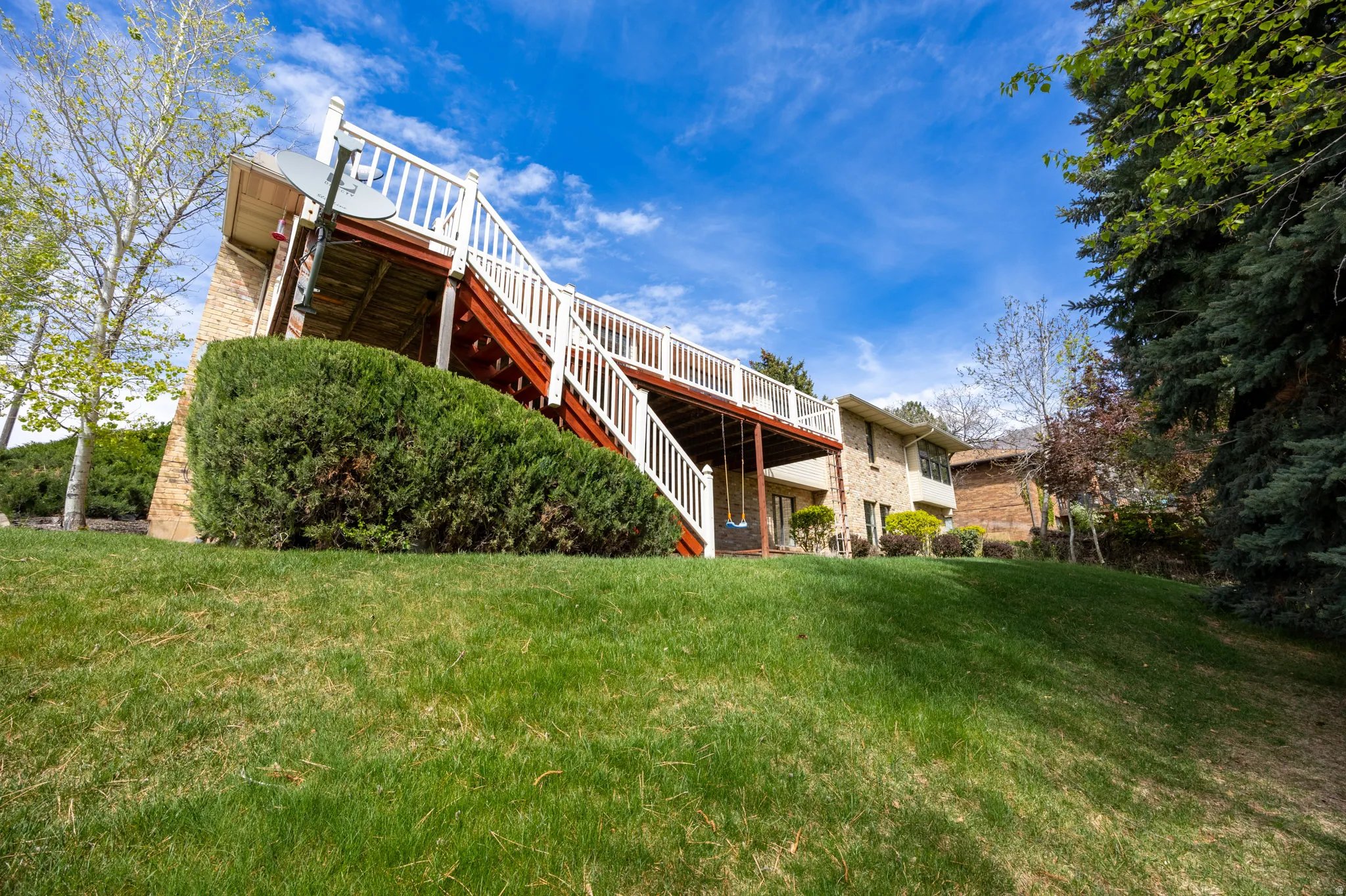 Backyard.