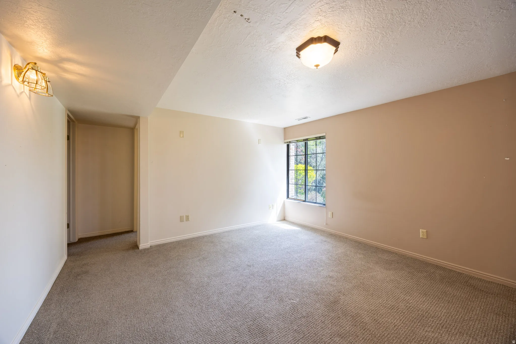 Basement family room with day-lighted windows.
