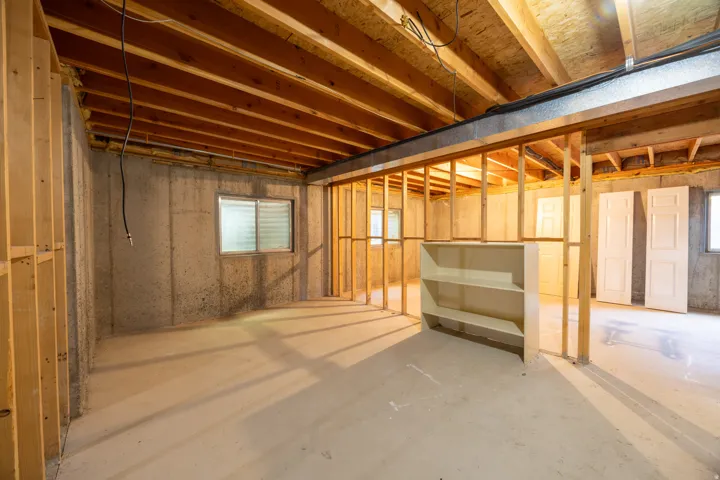 Unfinished basement space.