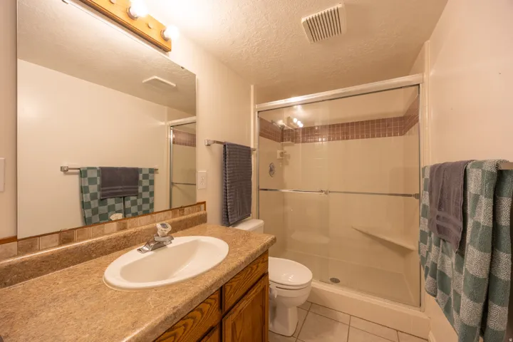 Basement bathroom.