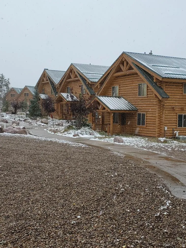 Log cabin with log siding, a residential view, a metal roof, and covered porch
