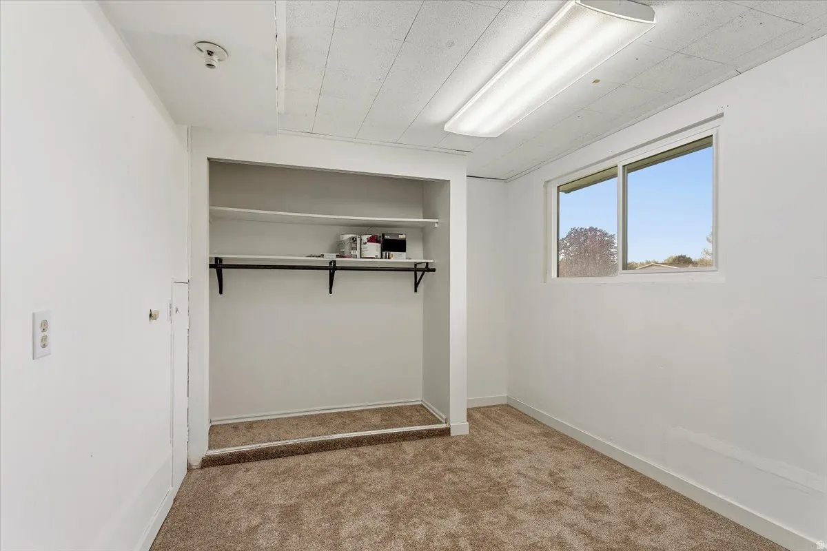 Laundry area with light colored carpet and baseboards