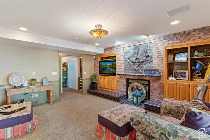 Basement Living