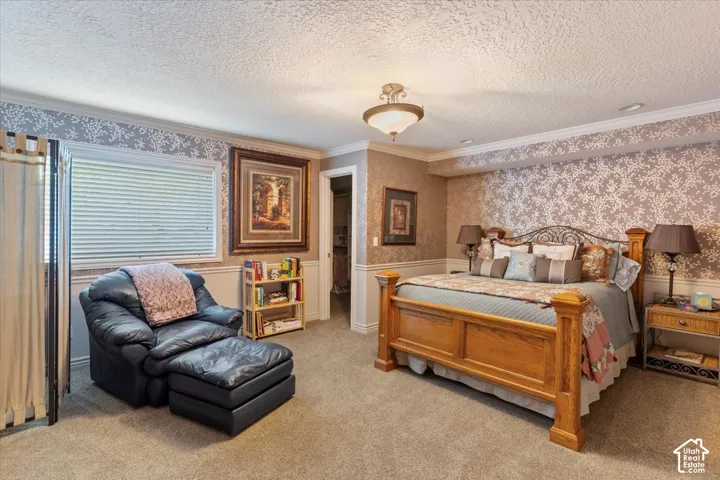 Basement Bedroom