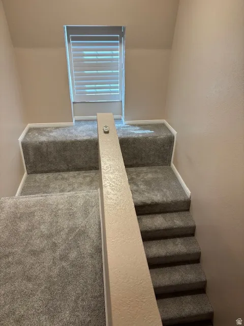 Stairs featuring like new  carpet floors.