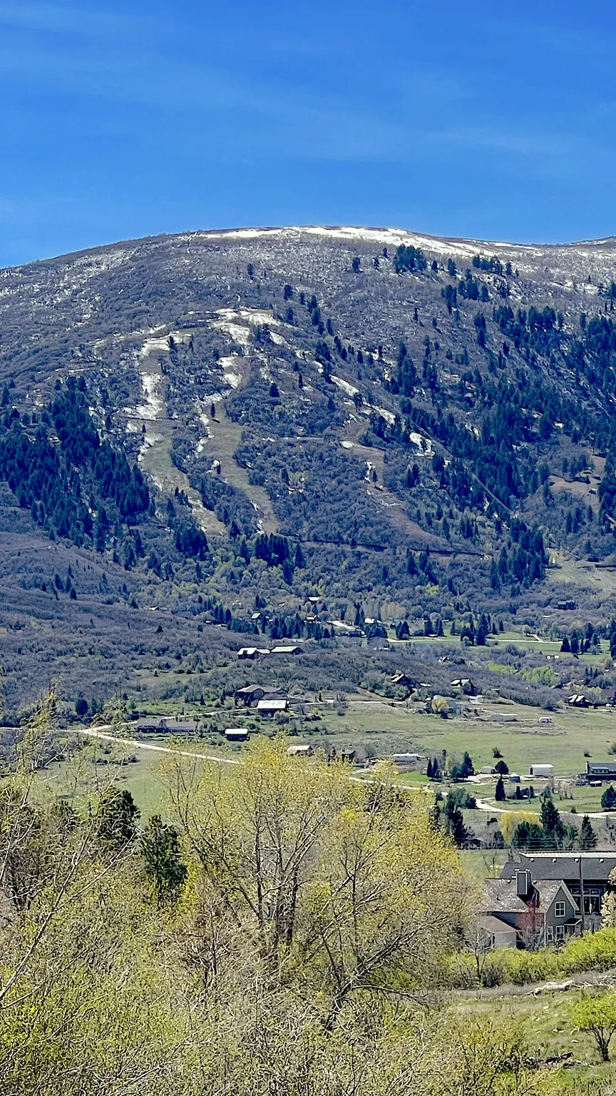 Mountain and ski area view