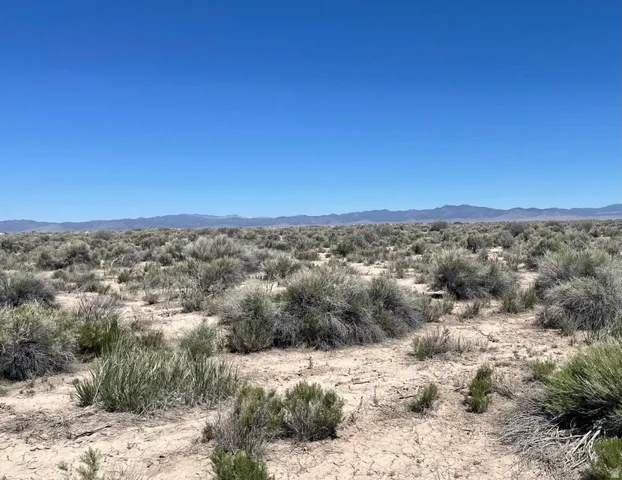 View of mountain backdrop with a desert landscape
