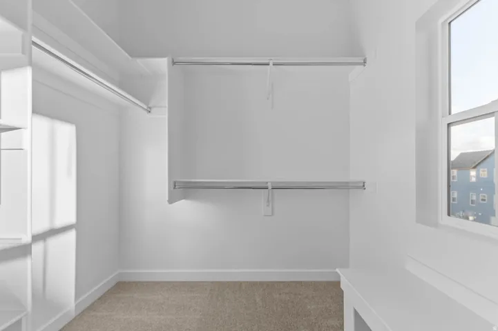 Walk in closet with light carpet