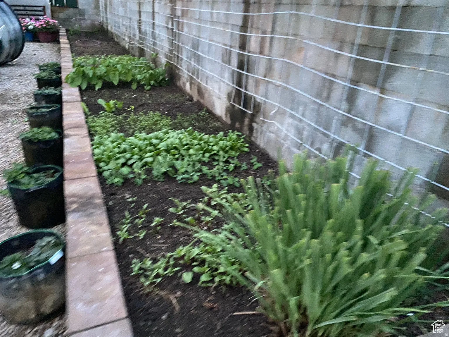 Exterior view of a garden
