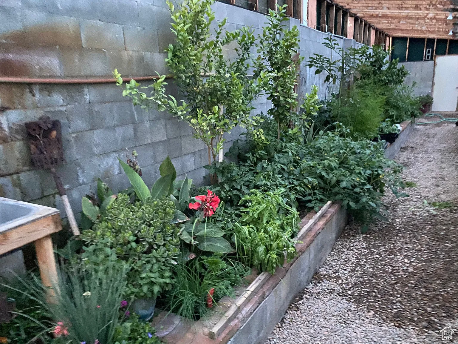 View of yard featuring a vegetable garden