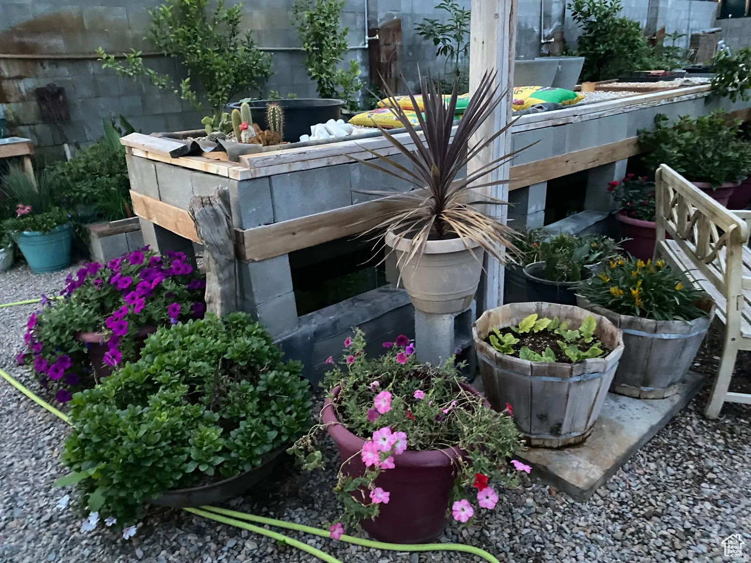 View of yard featuring a patio
