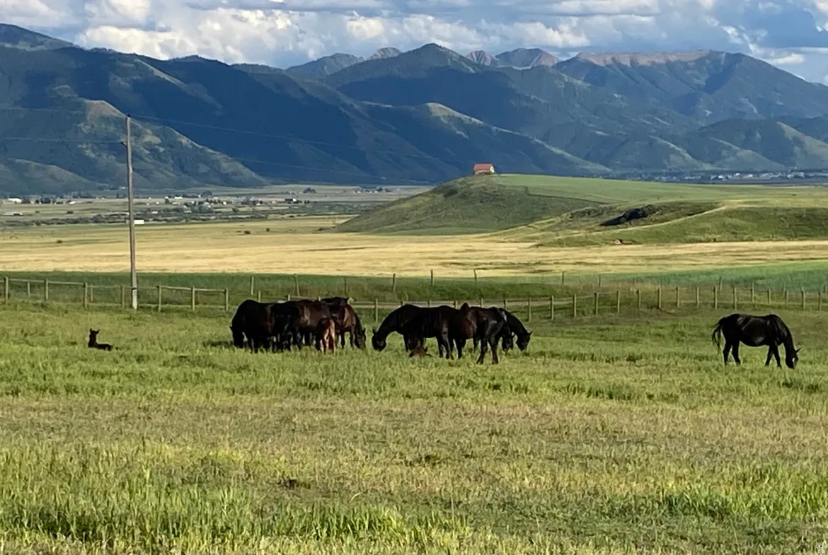 View of mountain background featuring agricultural land and rural landscape