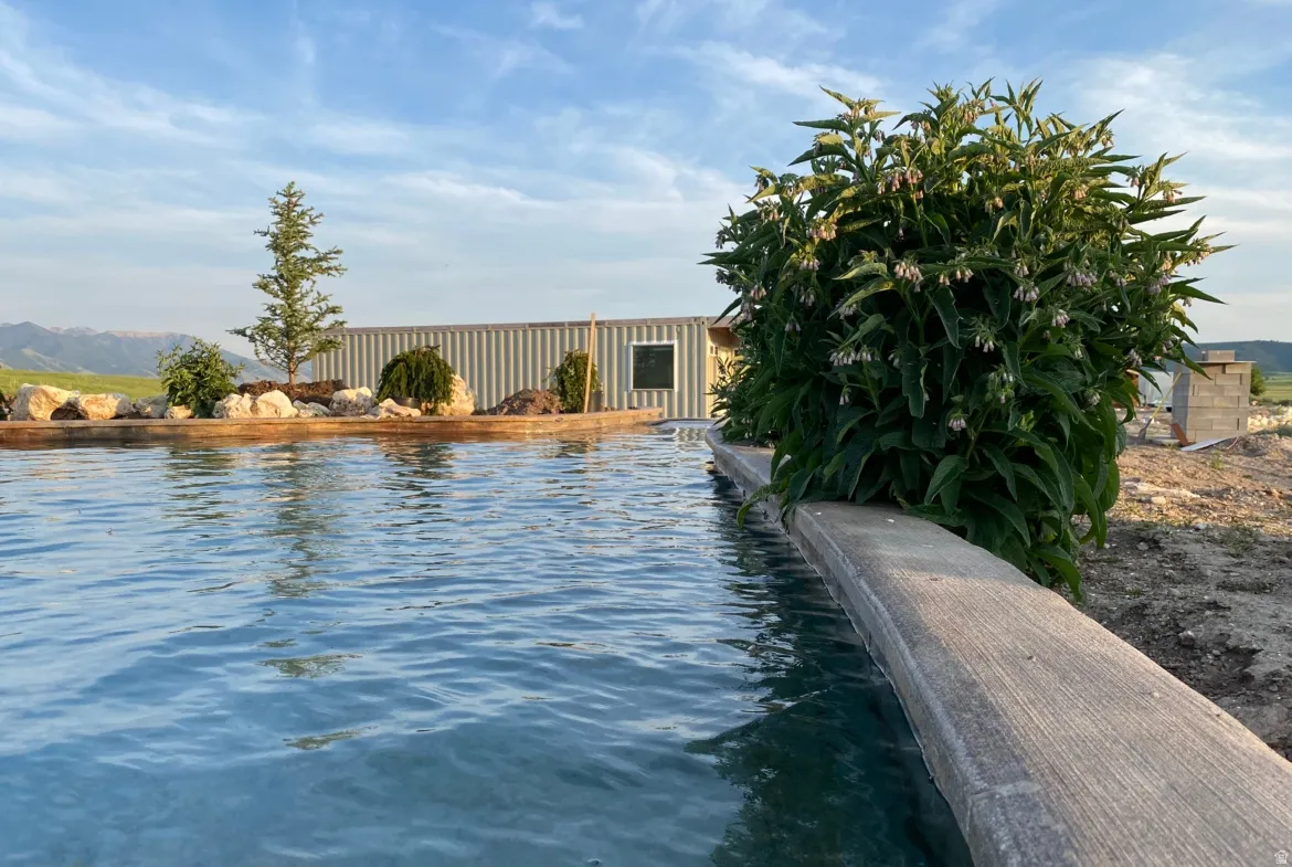 View of pool