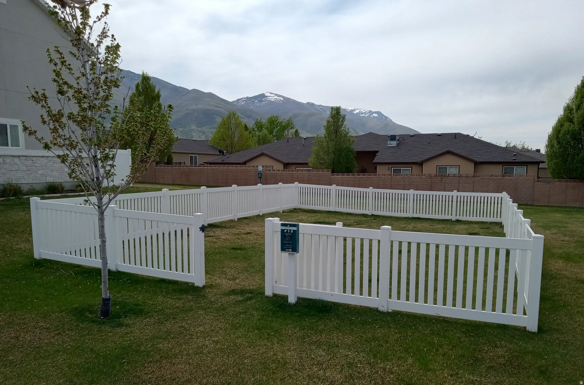 View of yard with a mountain view
