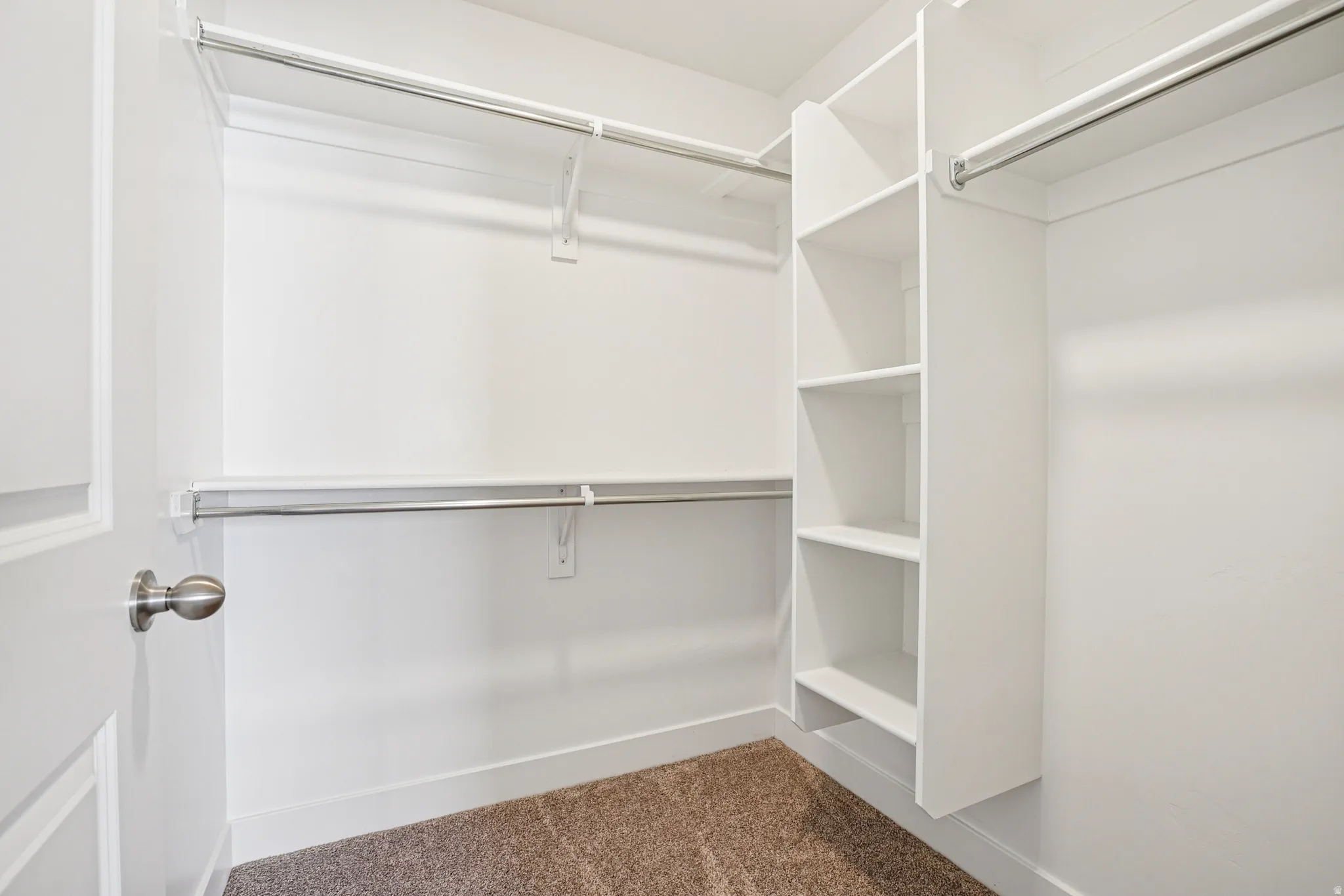 Walk in closet with carpet floors