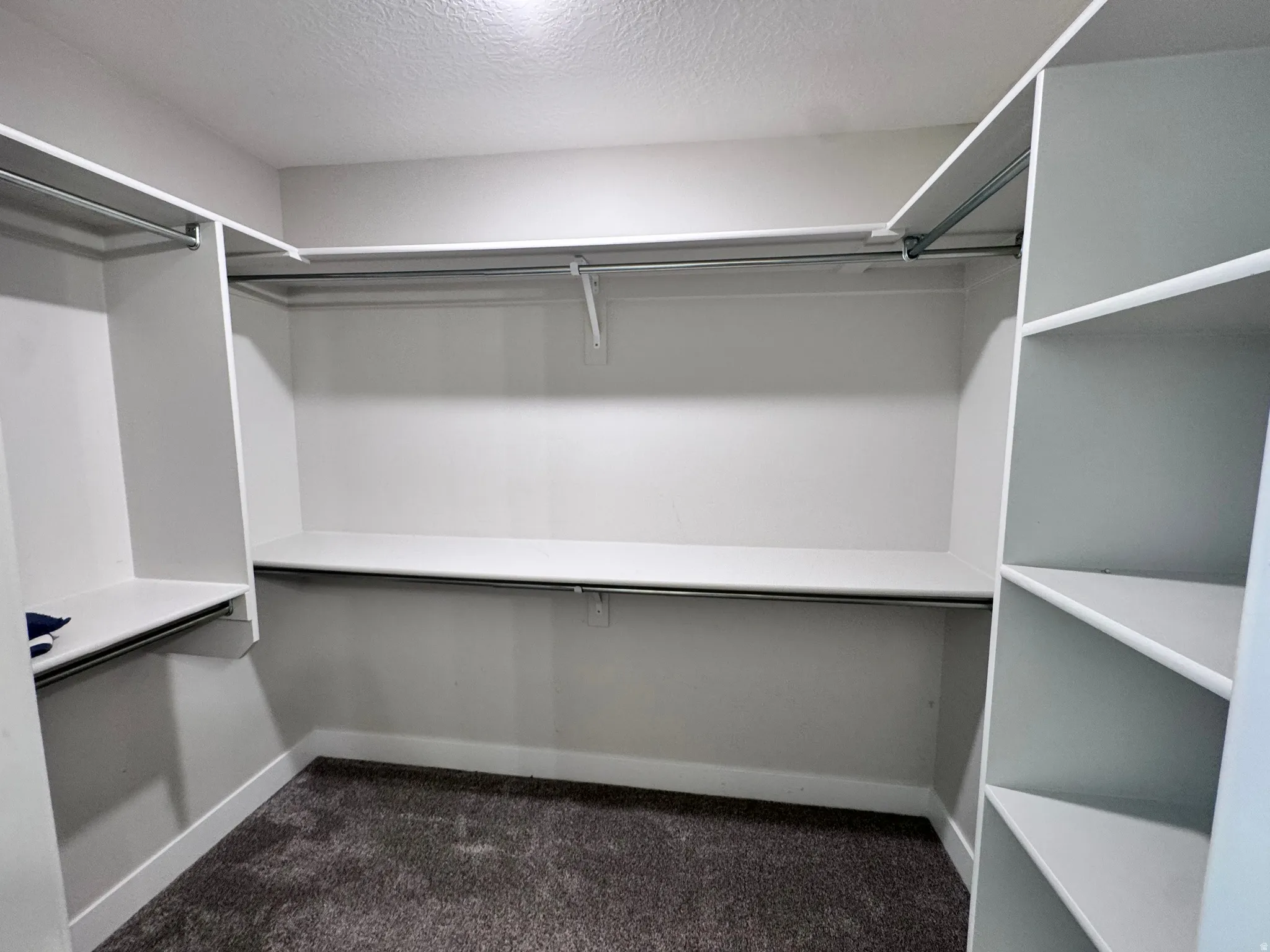Walk in closet featuring dark carpet