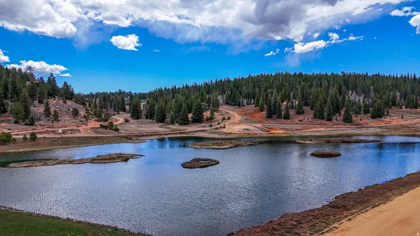 Water view with a forest