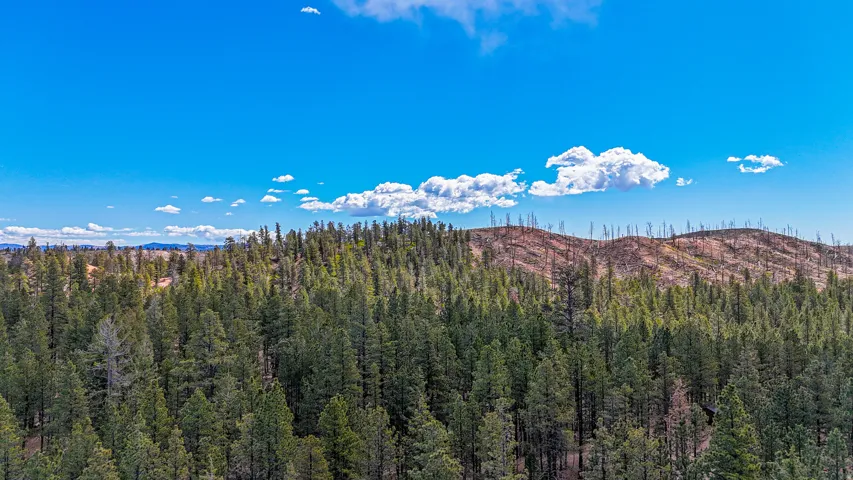 View of mountain backdrop