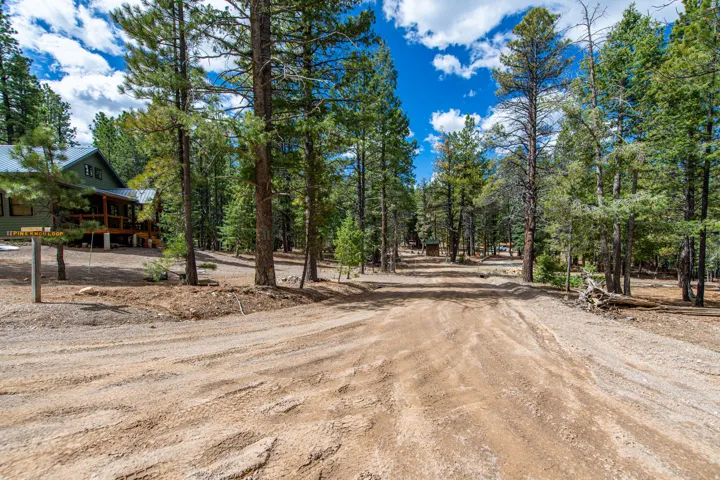 View of dirt / gravel road featuring view of wooded area