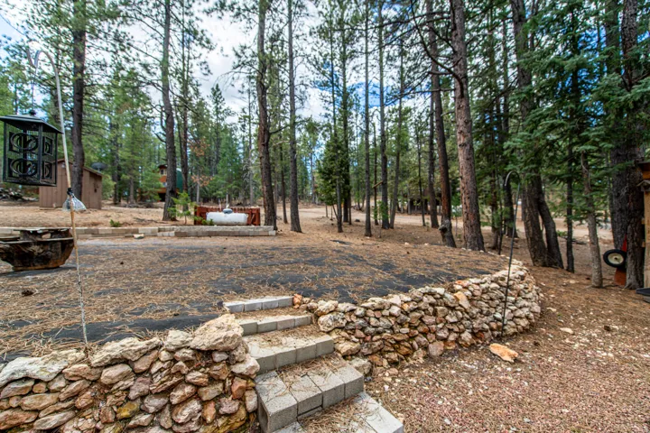 View of yard with view of scattered trees