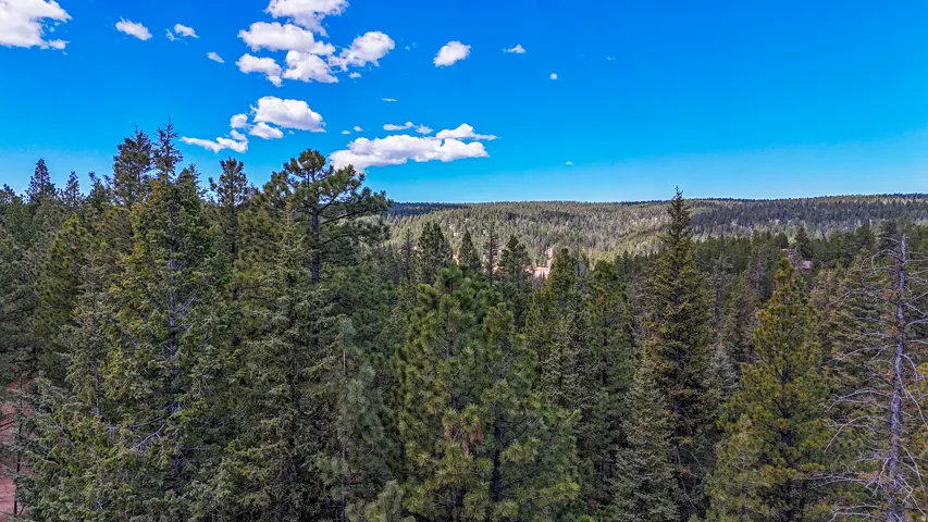 View of mountain background featuring a forest