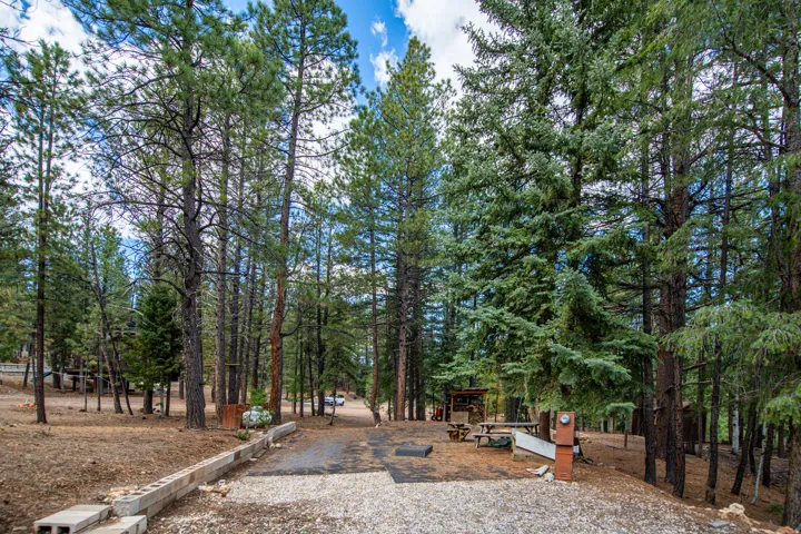 View of property's community with view of wooded area