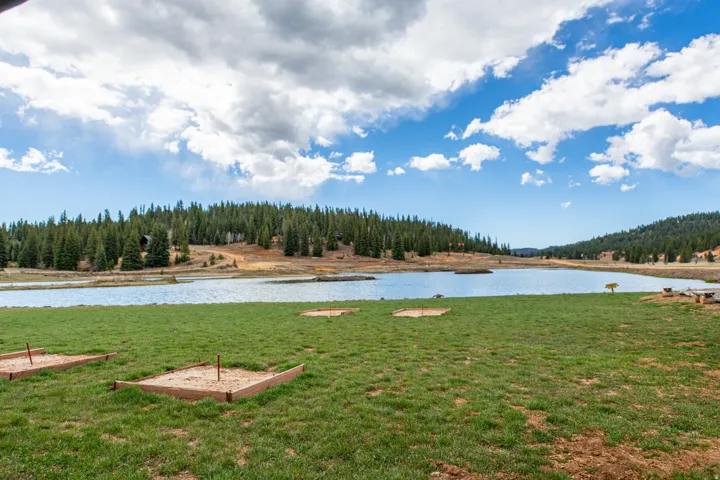 View of green lawn featuring a water view and a forest view