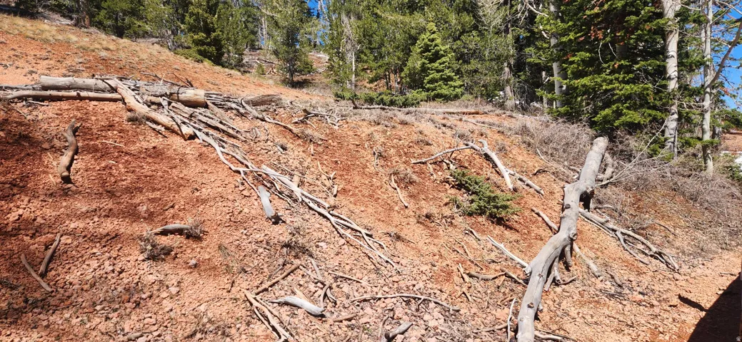 View of undeveloped land