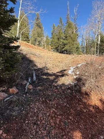 View of undeveloped land