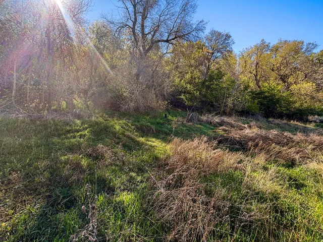 View of undeveloped land