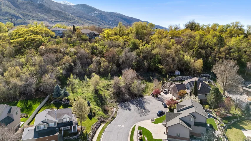 Residential properties nestled into a verdant, mountainous landscape with snow-capped peaks in the background