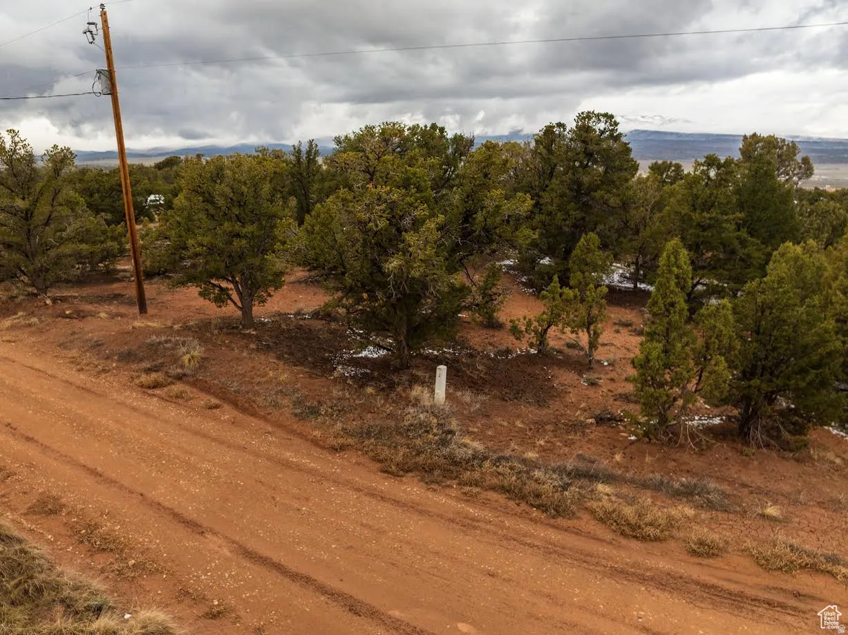 View of undeveloped land